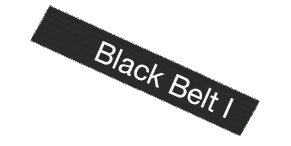 black beltI drawing